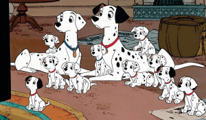 quiz 101 dalmatiens